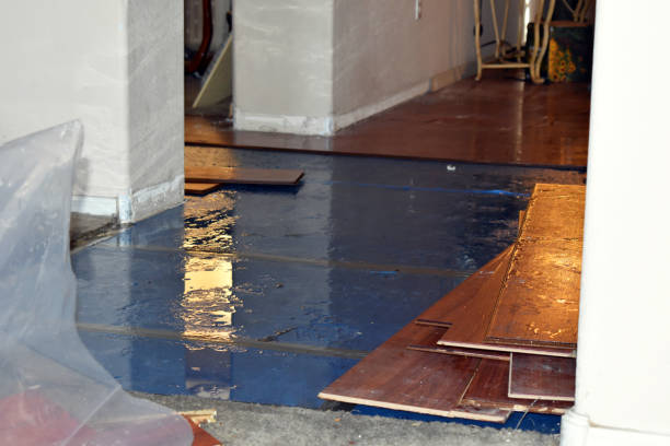 Professional Sewage Cleanup technician working in Herrick, SD